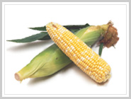 �X�C�[�g�R�[��