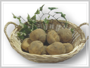 ���Ⴊ����