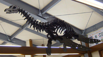 ���쒬�̋���