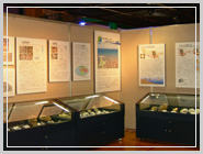 ���쒬�̋���