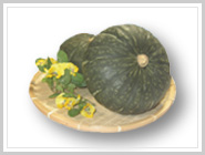 ���ڂ���