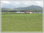 �_���C���[�W1